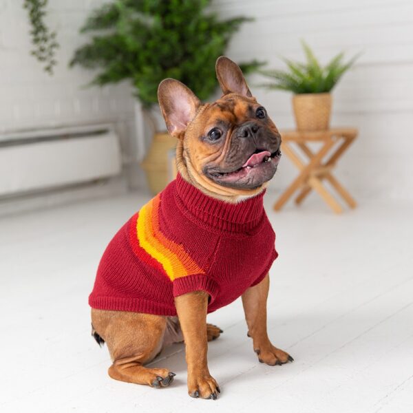 Go Fresh strikket hundegenser
